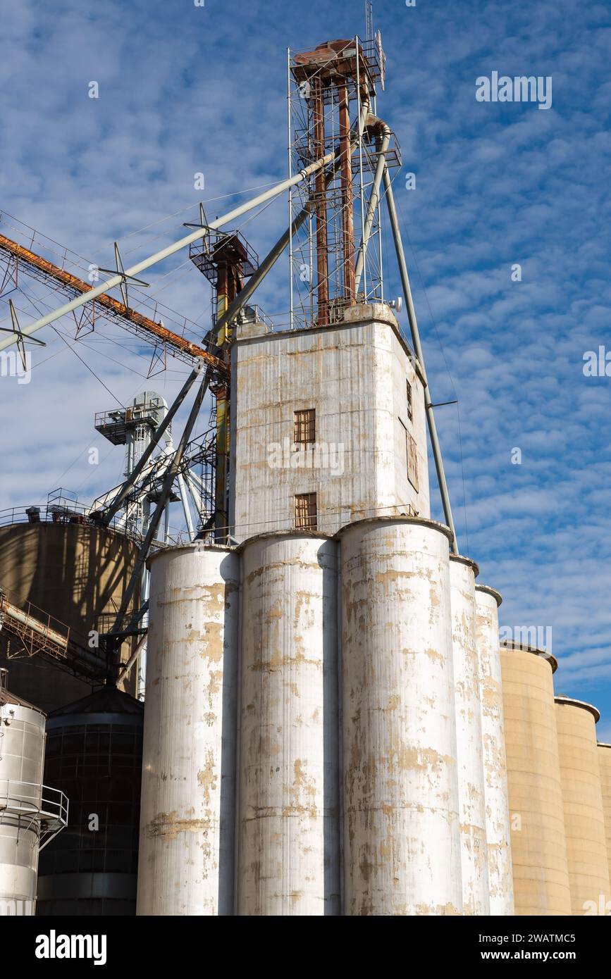 Industrial grain elevator and silos in downtown Flanagan, Illinois, USA