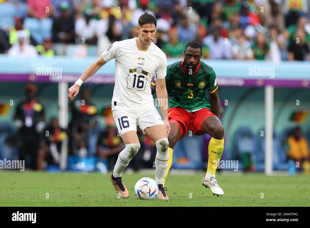 Sasa Lukic of Serbia (L) and Nicolas NKoulou of Cameroon (R) in action during the FIFA World Cup Qatar 2022 match between Cameroon and Serbia at Al Janoub Stadium. Final score: Cameroon 3:3 Serbia. Stock Photo