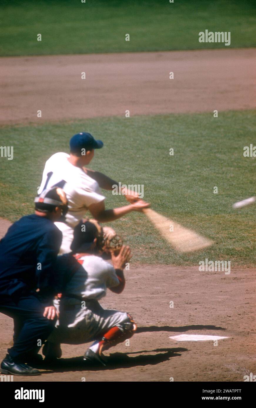 BROOKLYN, NY JUNE, 1954 Gil Hodges 14 of the Brooklyn Dodgers