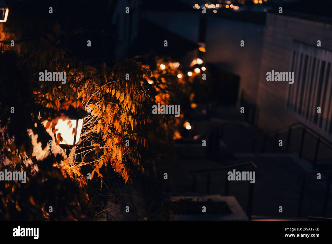 portugal Stock Photo