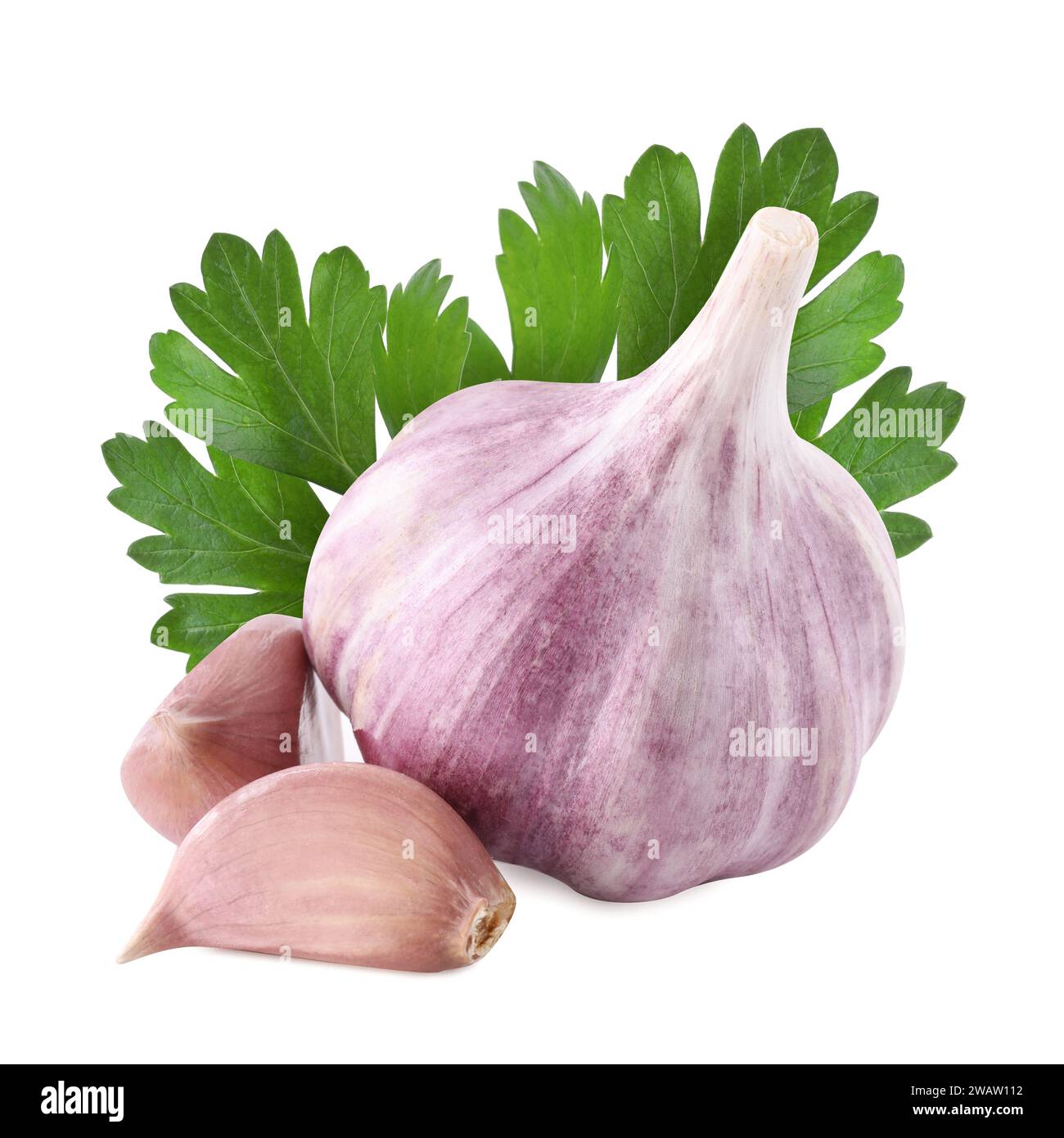 Fresh garlic and green parsley isolated on white Stock Photo - Alamy