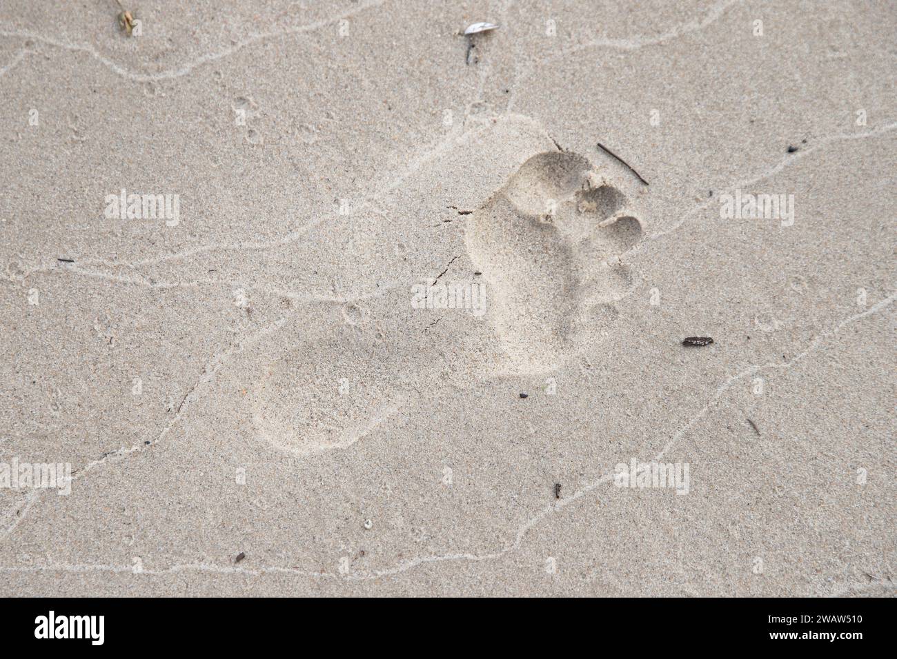 Foot print in the sand Stock Photo - Alamy