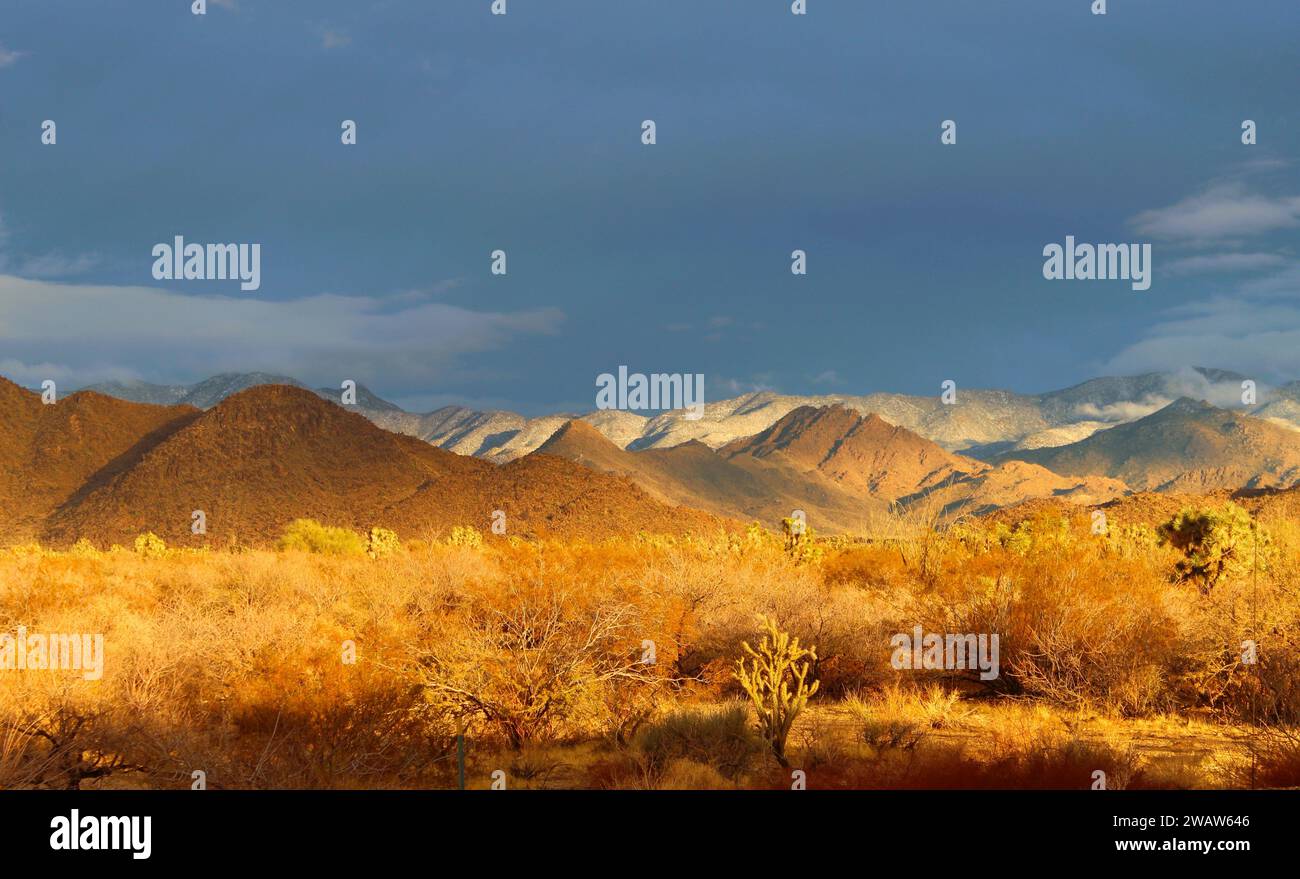 The Desert after a rain at sunset Stock Photo