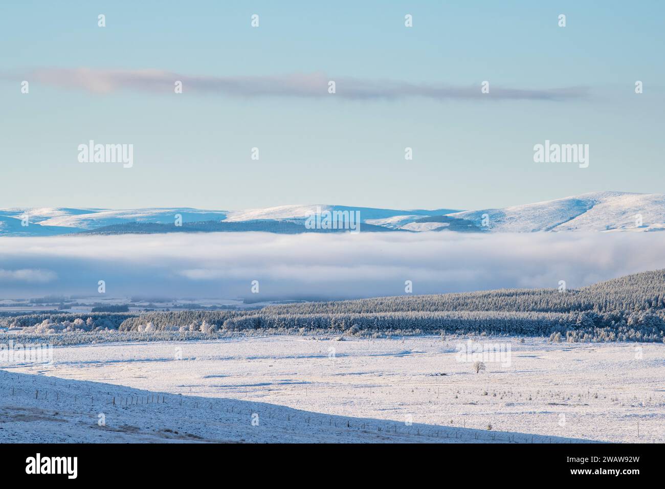 Mist along the Cairngorms in the snow.  Highlands, Scotland Stock Photo
