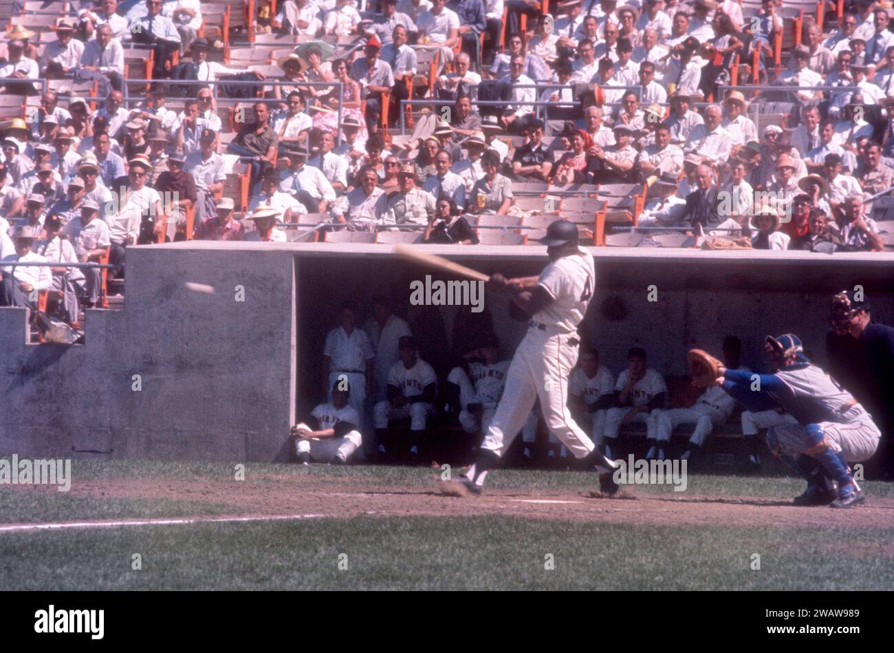 SAN FRANCISCO, CA - JUNE 1:  Willie McCovey #44 of the San Francisco Giants swings at the pitch during an MLB game against the Chicago Cubs on June 1, 1960 at Candlestick Park in San Francisco, California.  The Cubs catcher is Moe Thacker #22 and the home plate umpire is Dusty Boggess.  (Photo by Hy Peskin) *** Local Caption *** Willie McCovey;Moe Thacker;Dusty Boggess Stock Photo