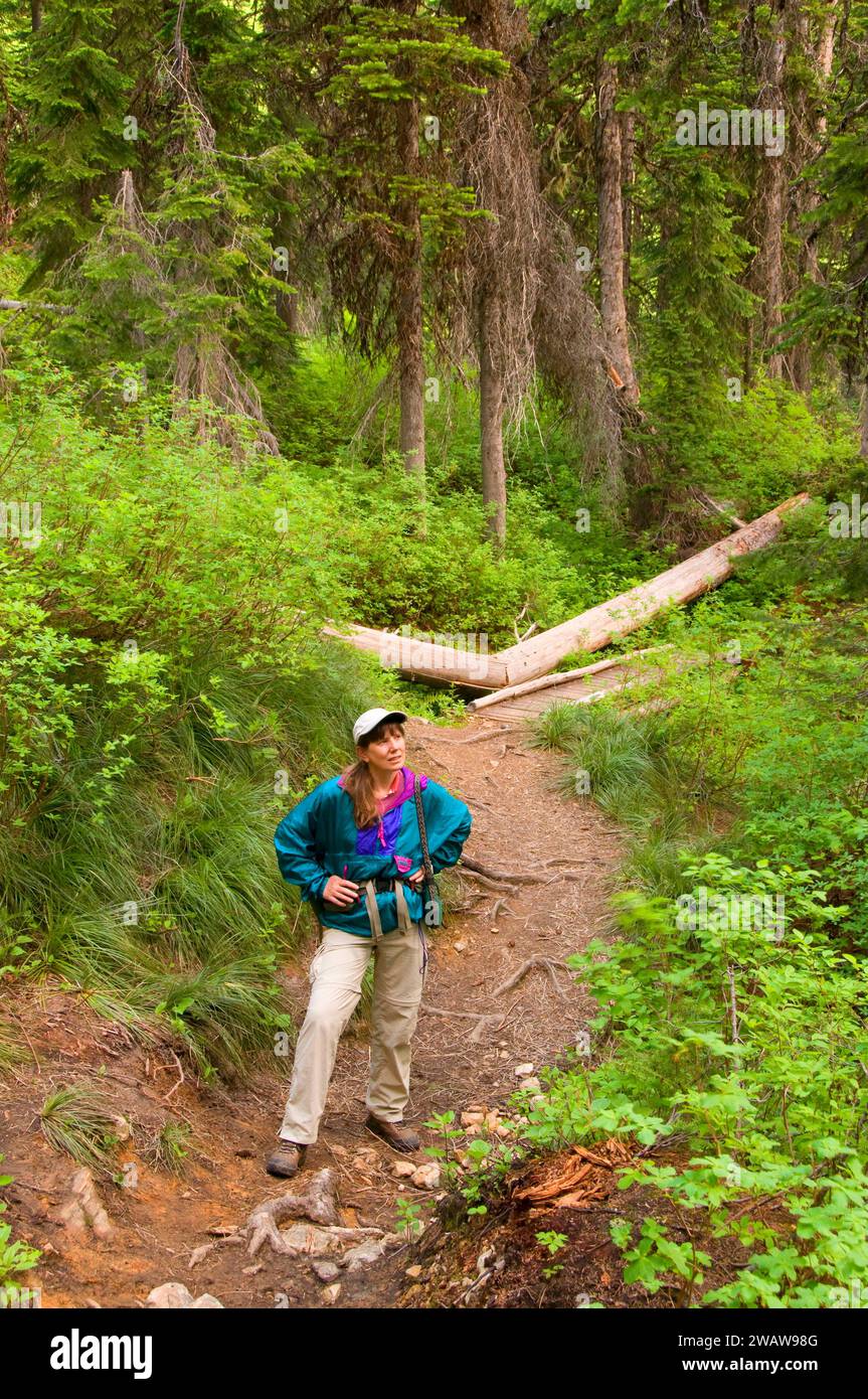 Cliff Lake Trail, Lolo National Forest, Montana Stock Photo Alamy