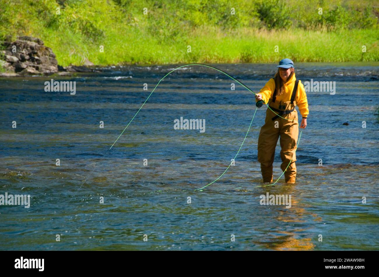 Flyfishing Thompson River, Lolo National Forest, Montana Stock Photo ...