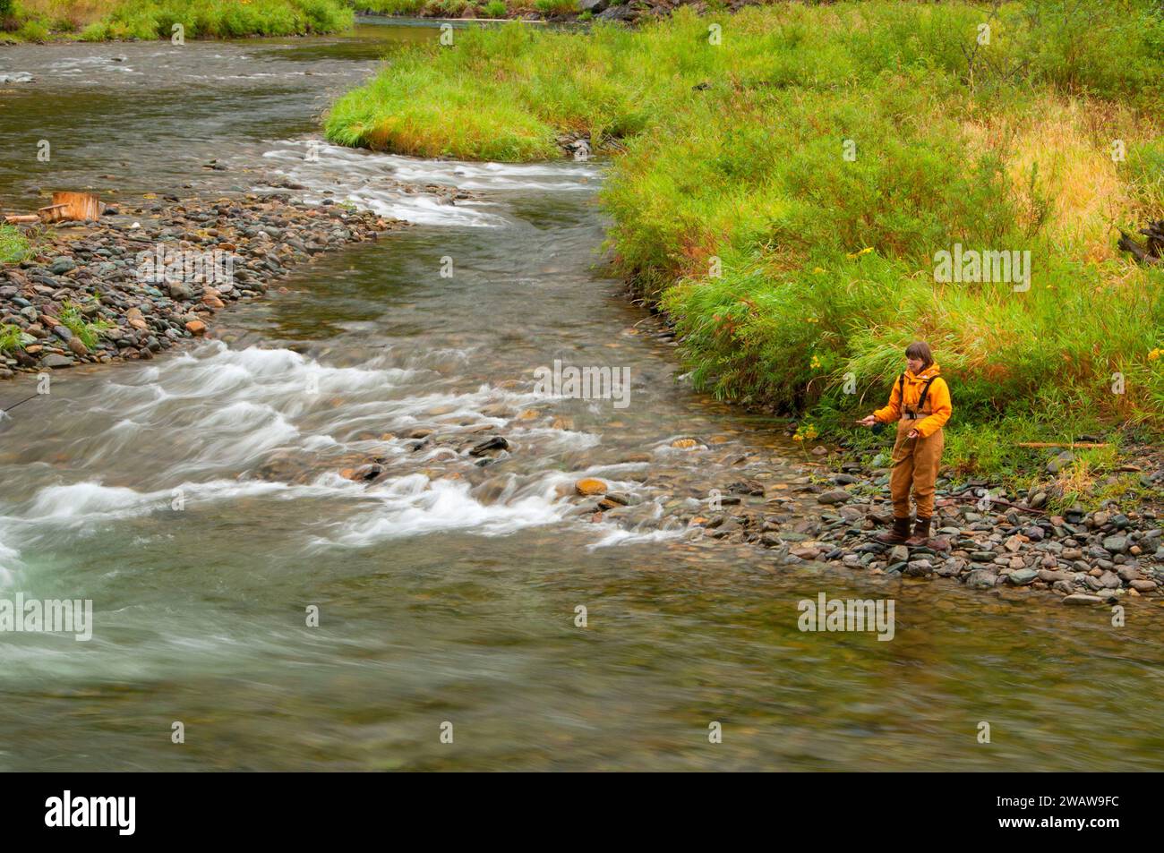 Flyfishing Thompson River, Lolo National Forest, Montana Stock Photo ...