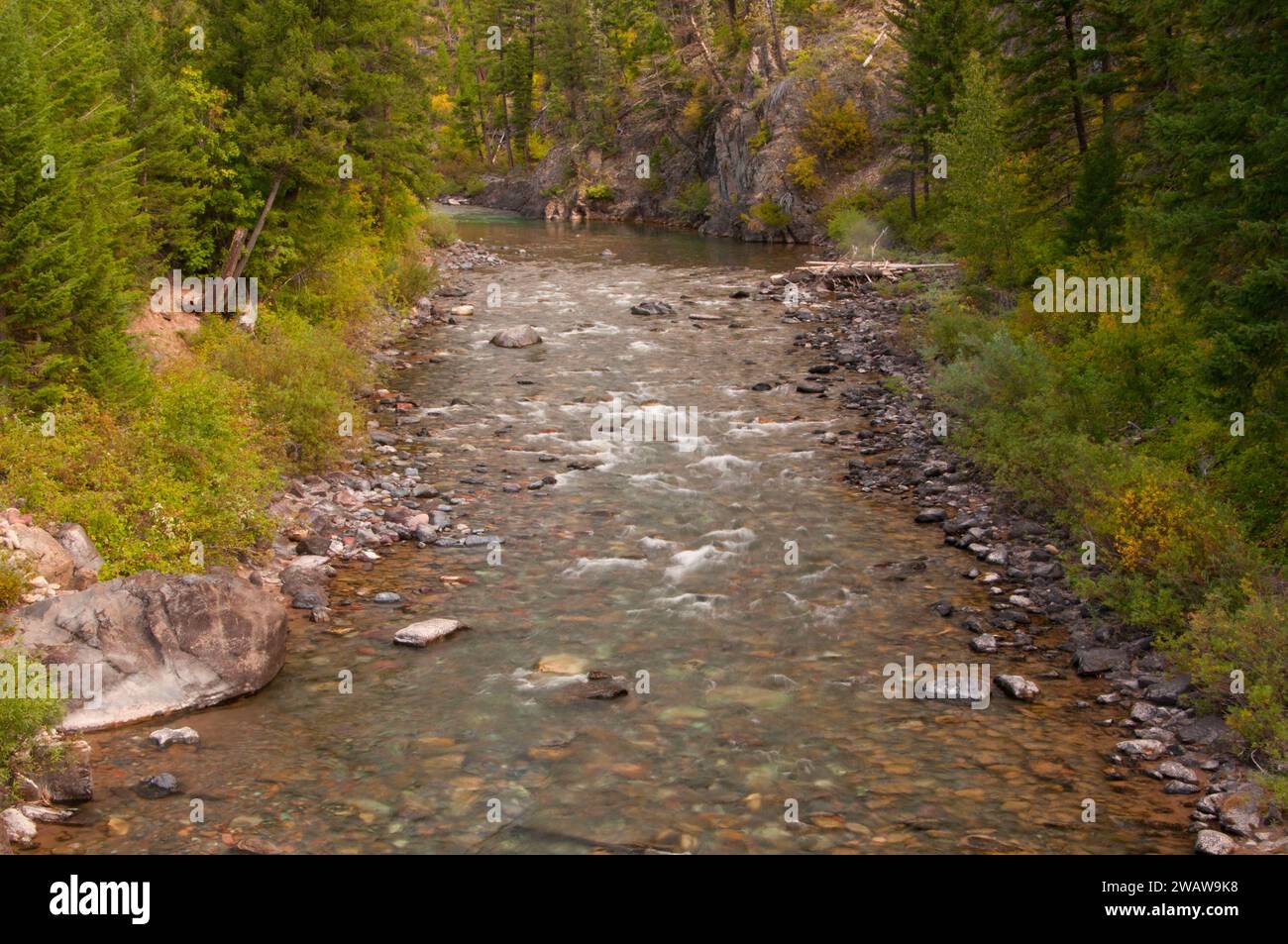North Fork Blackfoot River, Lolo National Forest, Montana Stock Photo