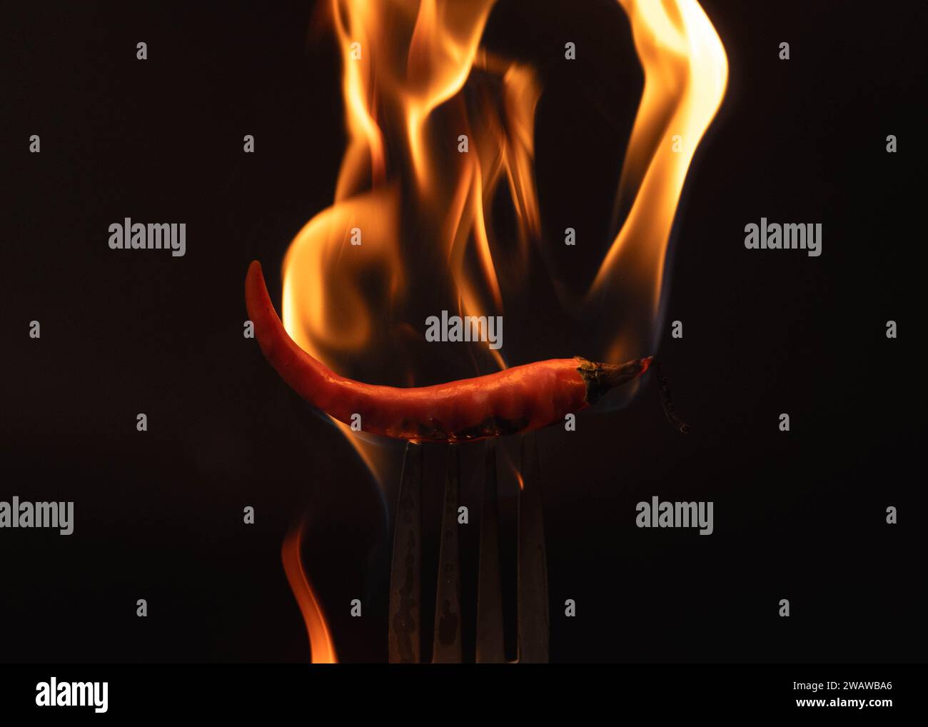Chili pepper on fork with flames on black background. Burning red chili pepper. Slow motion