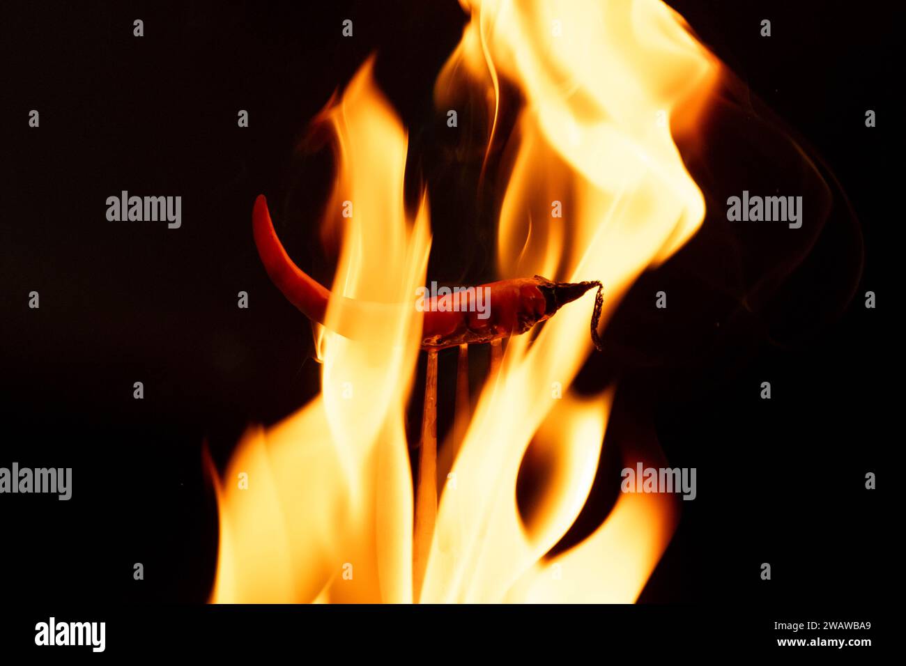 Chili pepper on fork with flames on black background. Burning red chili