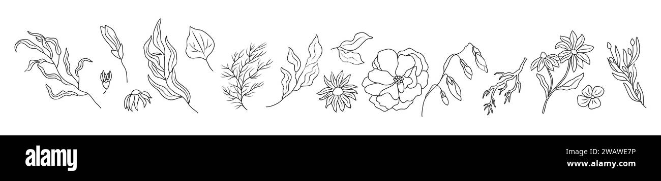 Set of wild flowers and leaves line art vector Stock Vector Image & Art ...