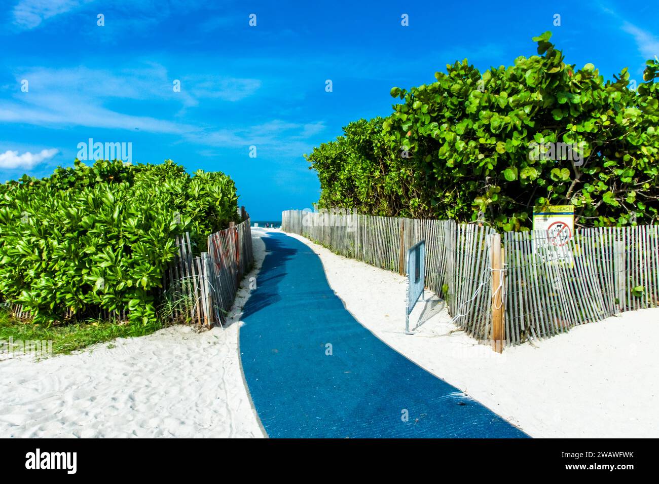 Miami - Florida Coastal Gem: North Miami Beach to the Florida Keys 