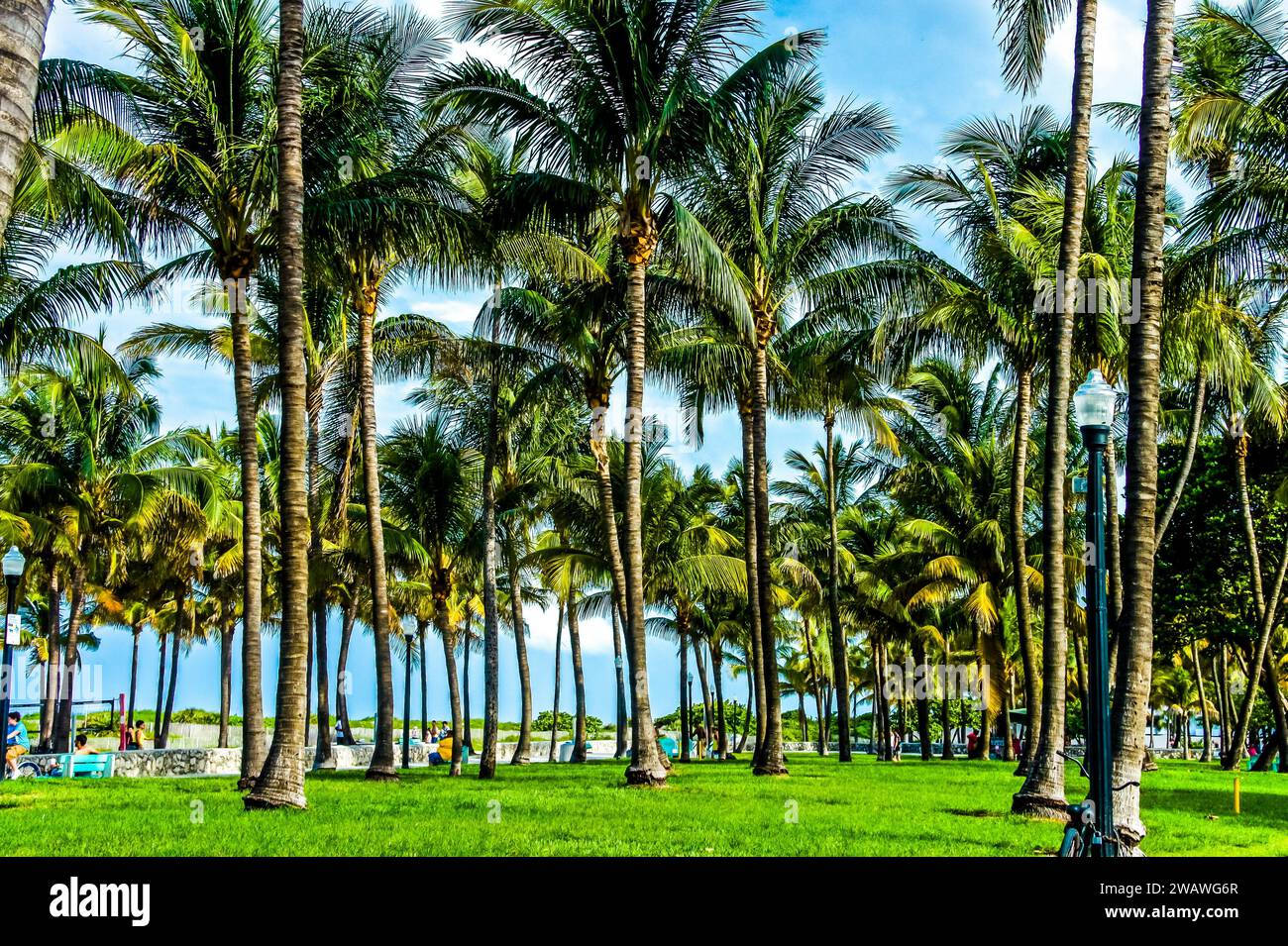 Discover Lummus Park, a vibrant 74-acre urban oasis along Miami Beach's iconic Ocean Drive. This beachfront gem offers a scenic retreat with playgroun Stock Photo