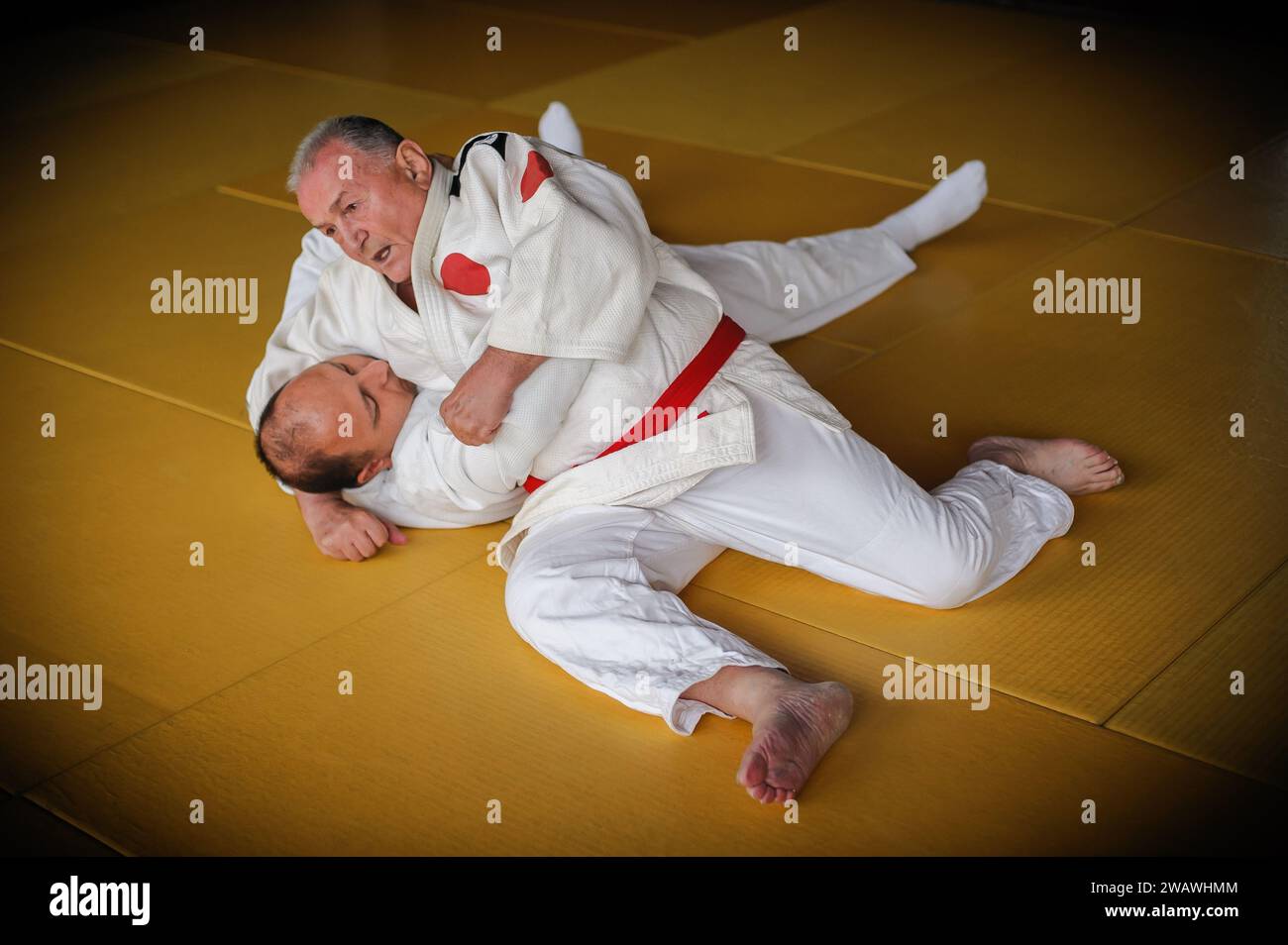 Judo sensei master instructor in traditional gi kimono demonstrate judo
