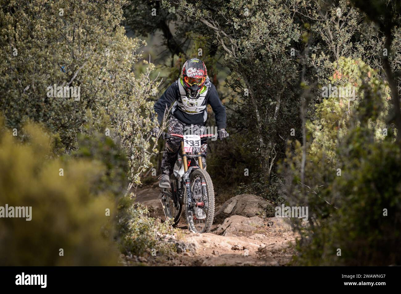 Cyclist on a MTB downhill mountain bike Stock Photo