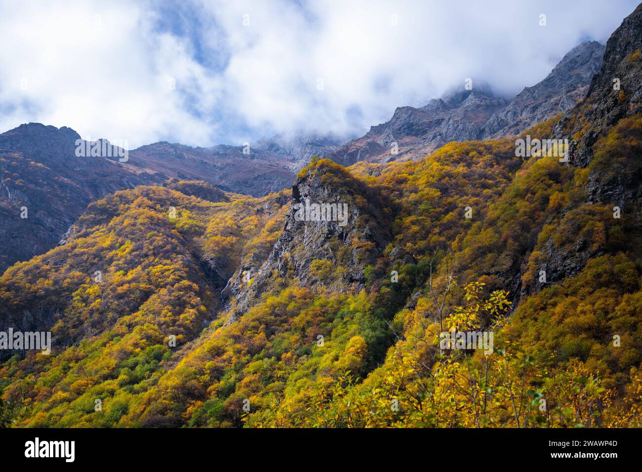 Colorful autumn transforms the mountain world, creating breathtaking ...