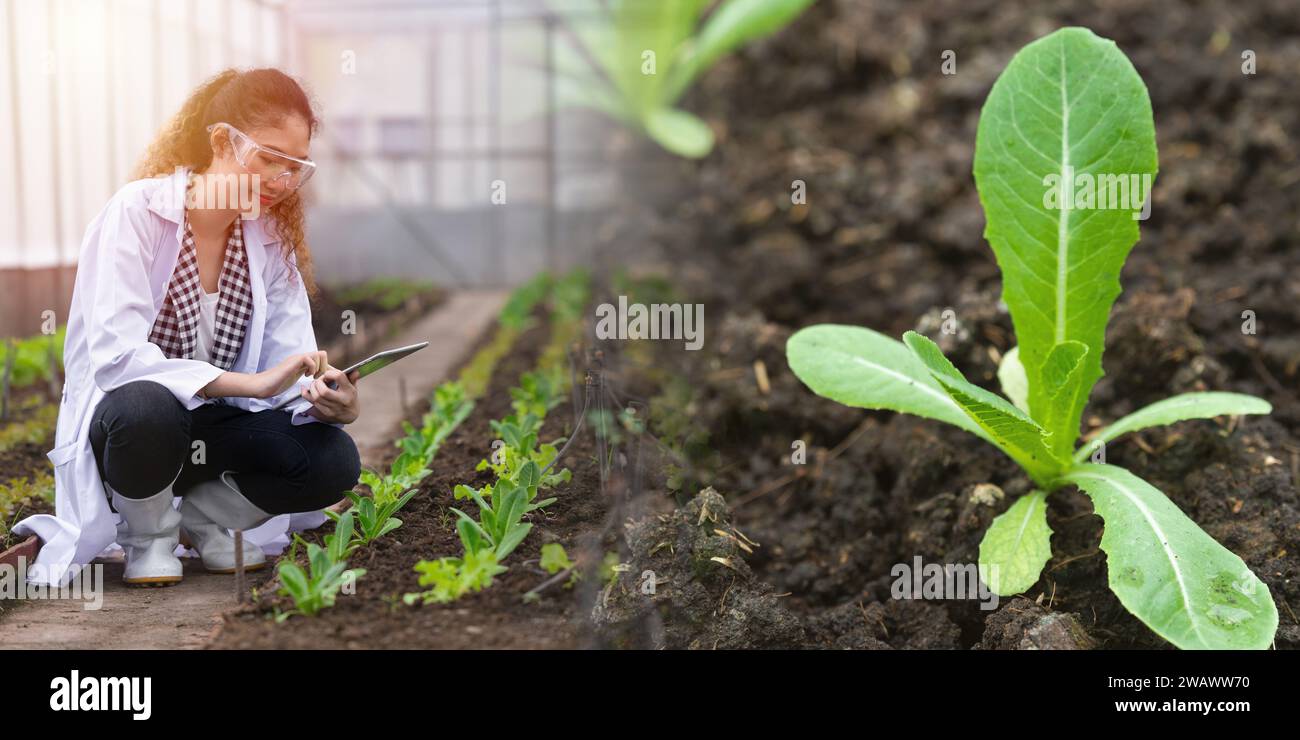 Bio Scientist research in agriculture farm science for develop farming