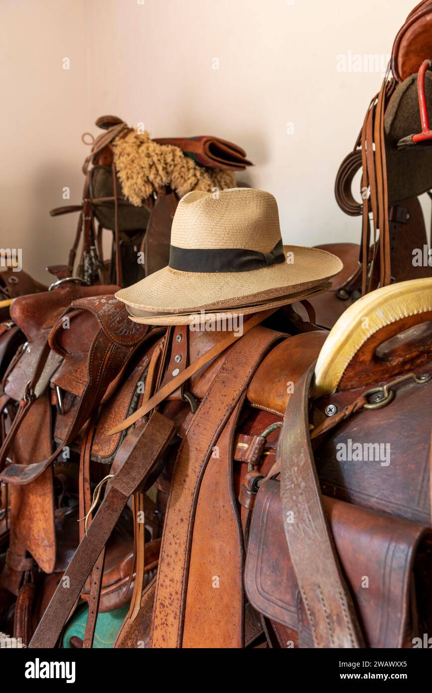 Horse saddles harness buckles and reigns - stock photo Stock Photo