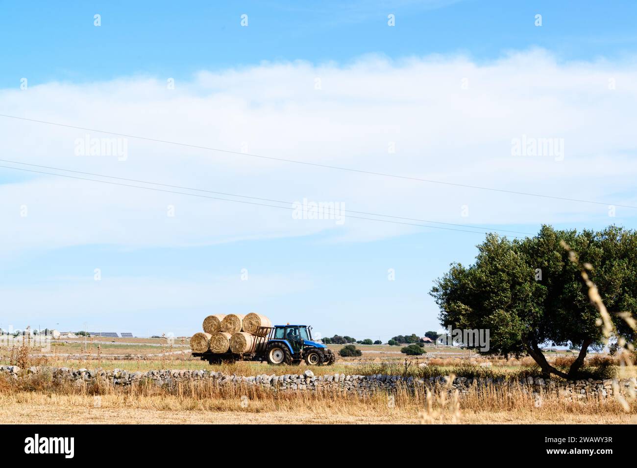 Auf einem  Bauernhof in der Nähe von Sampieri Sizilien während der Getreideernte Stock Photo