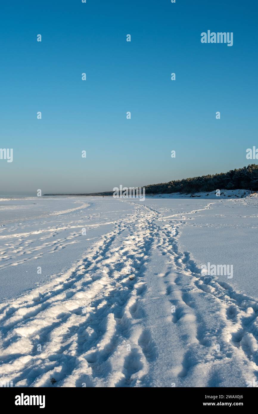In winter's golden light, a path emerges—a silent witness to countless ...