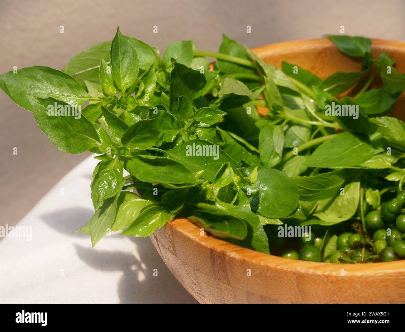 Kemangi (Basil leaves) and leunca ( Solanum nigrum) is a famous ...