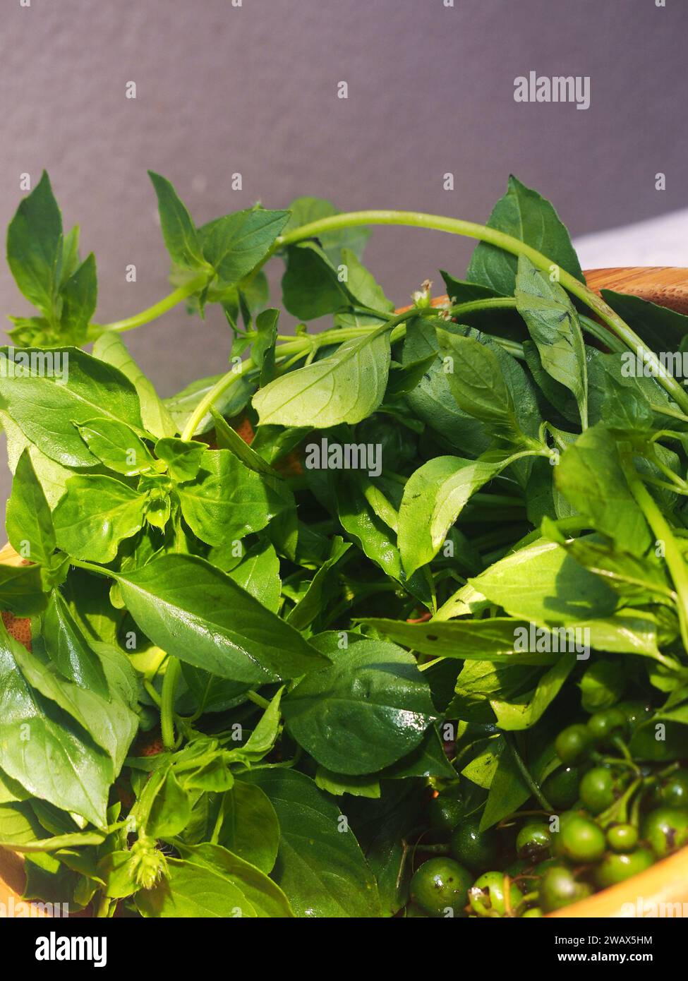 Kemangi (Basil leaves) and leunca ( Solanum nigrum) is a famous Vegetable in Sundanese, Indonesia Stock Photo