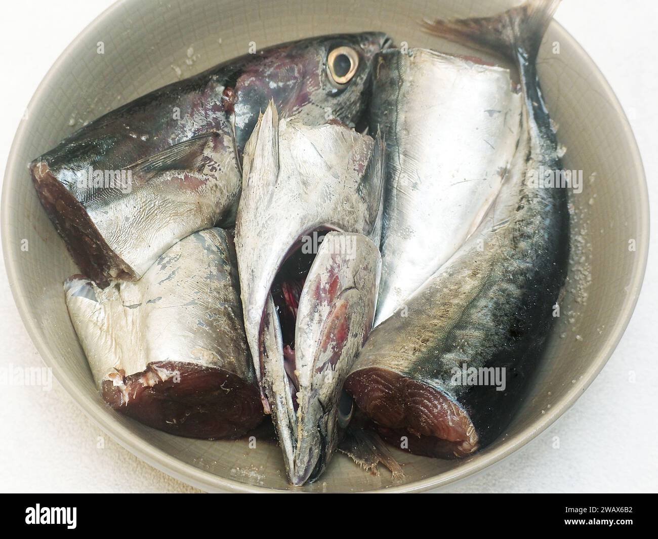 preparing for cooking, cutting mackerel tuna fish in ceramic bowl marinate with salt and pepper Stock Photo