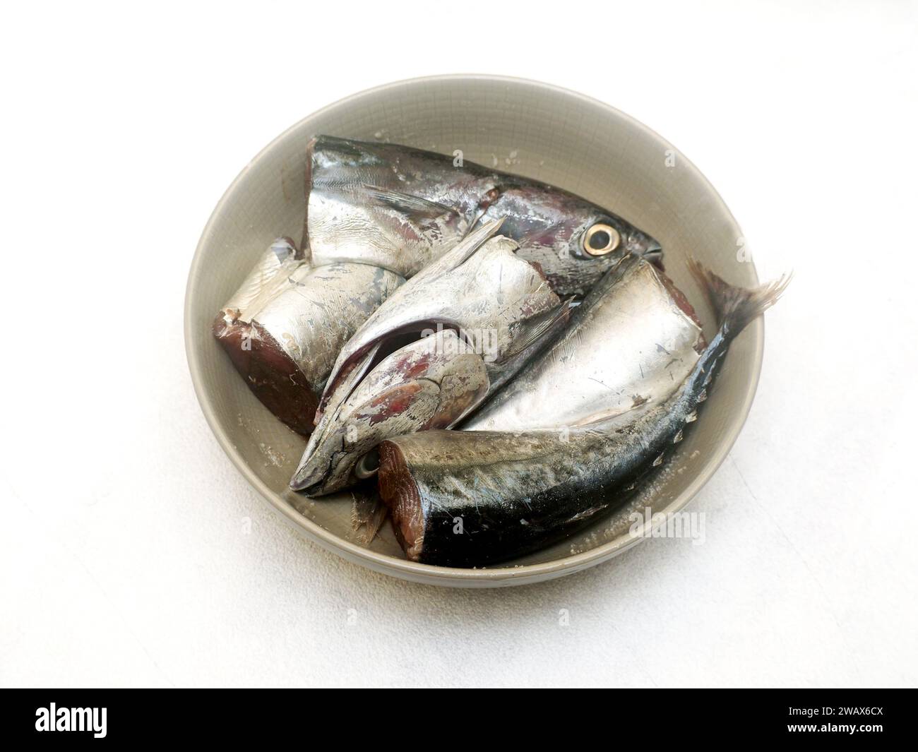 preparing for cooking, cutting mackerel tuna fish in ceramic bowl marinate with salt and pepper Stock Photo