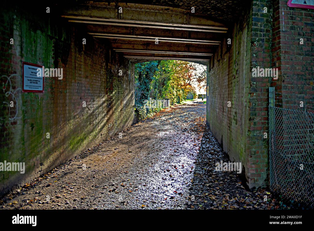 The pedestrian walkway underneath the Tonbridge to Redhill railway line