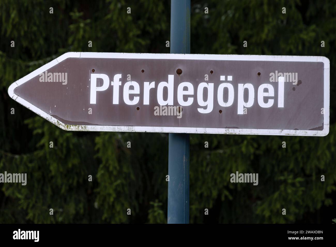 Hinweisschild auf den Pferdegöpel in Johanngeorgenstadt. Der Pferdegöpel ist ein Denkmal der erzgebirgischen Bergbaugeschichte. Johanngeorgenstadt ist eine Bergstadt im sächsischen Erzgebirgskreis unmittelbar an der Grenze zu Tschechien. Die Stadt entstand 1654 als Exulantensiedlung böhmischer Protestanten und hat eine lange Bergbautradition, die mit dem Abbau von Eisen und Zinn begann. Nach dem Zweiten Weltkrieg wurde zwischen 1946 und 1958 durch die Wismut AG ein intensiver und teilweise rücksichtsloser Bergbau betrieben, der das Stadtbild nachhaltig prägte. So zogen Bergschäden den angeordn Stock Photo