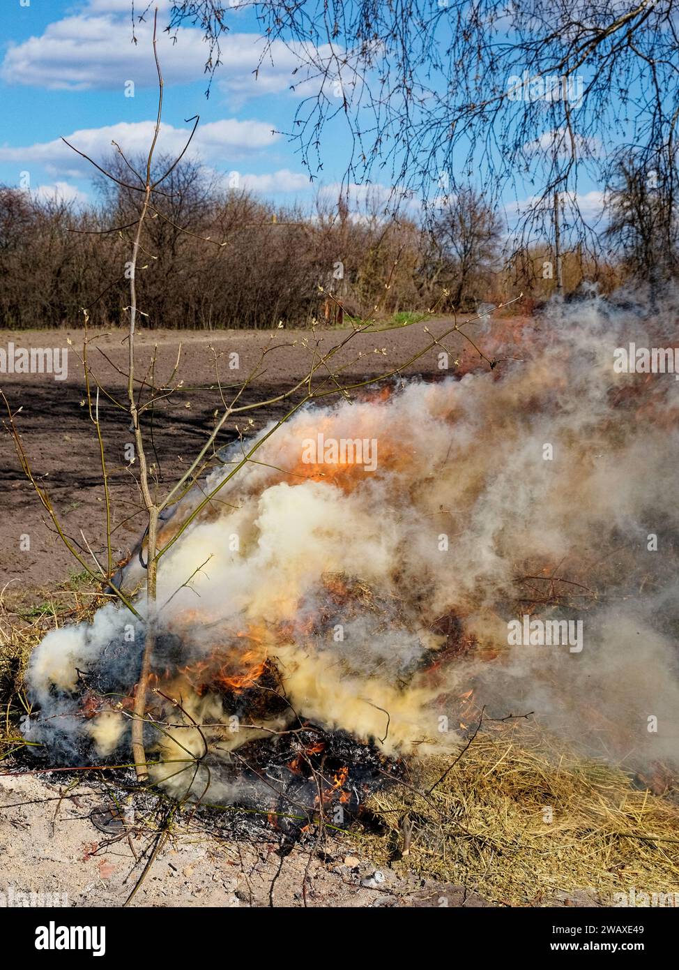 Flames and smoke rise from a burning pile. Illegal burning of leaves and dry grass. Stock Photo