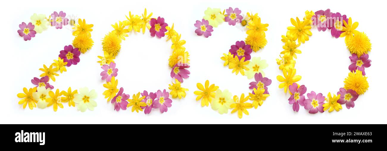 year date 2050 made of yellow, orange and pink flower. floral lettering