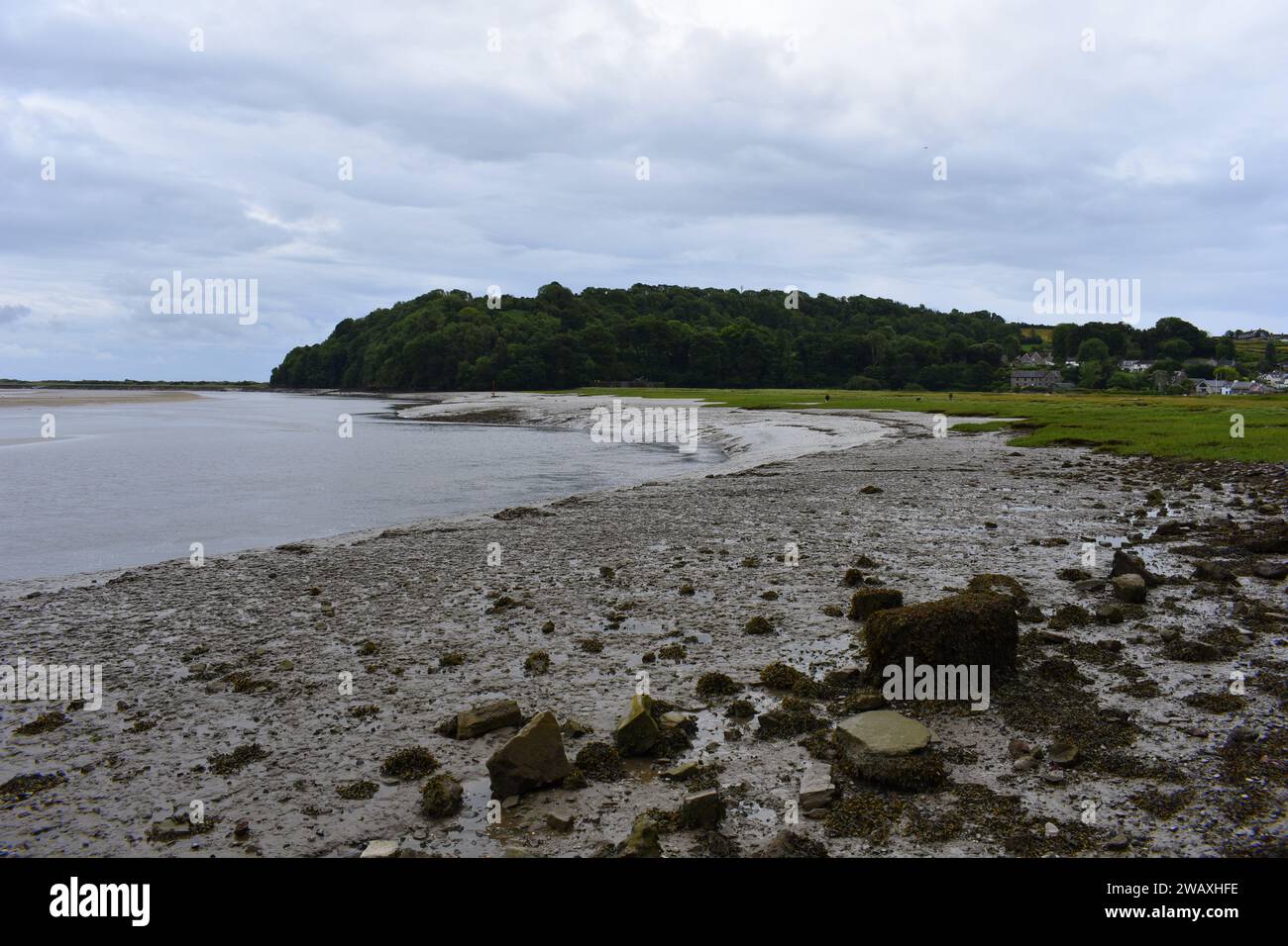 Laugharne estuary at low tide, Laugharne, Carmarthenshire, Wales Stock Photo