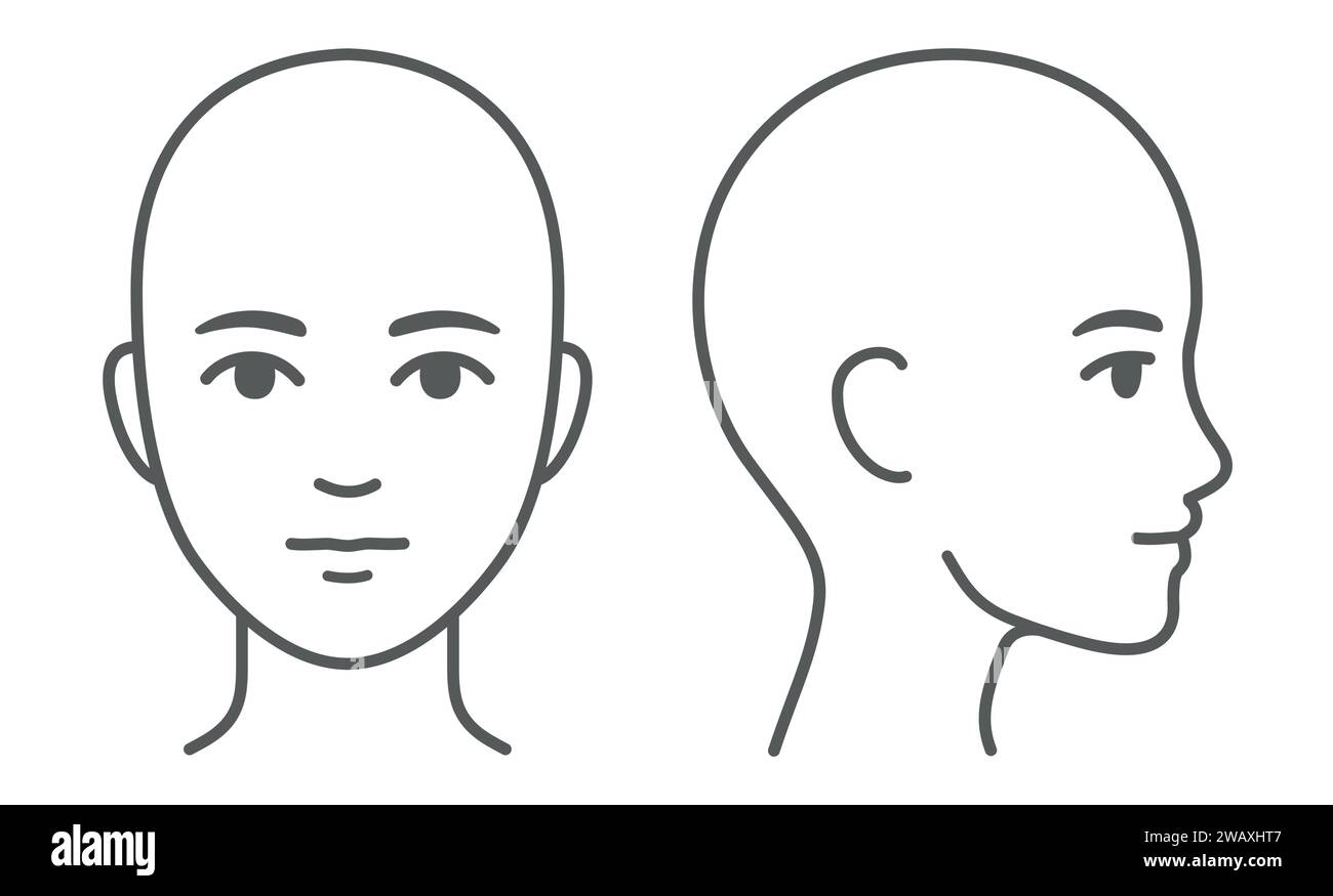 Face and head profile diagram (without hair). Blank unisex head template for medical infographic. Isolated vector illustration. Stock Vector