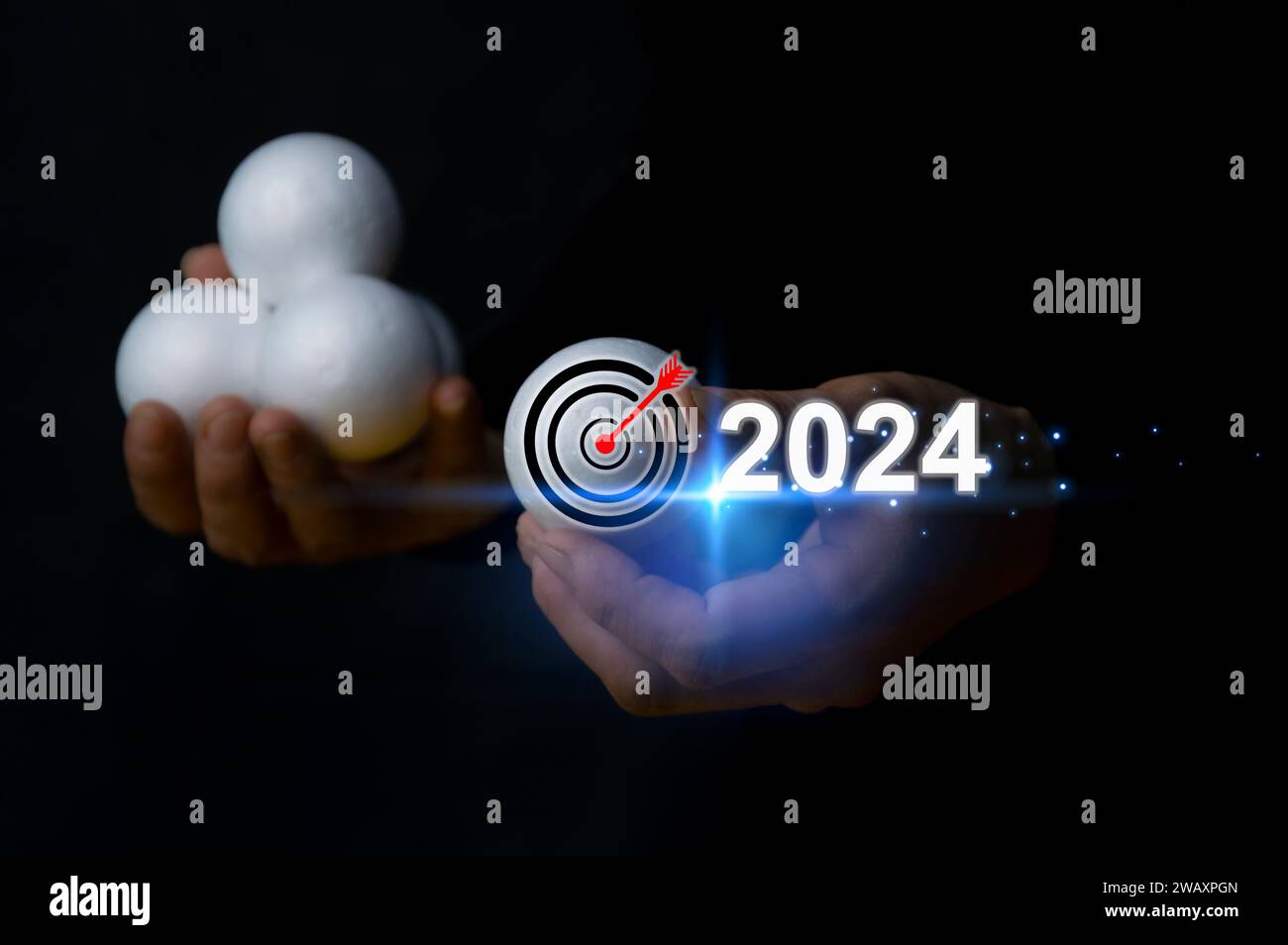 Ali Wentworths 2024 Goals Whats She Aiming For - 0m6ubse