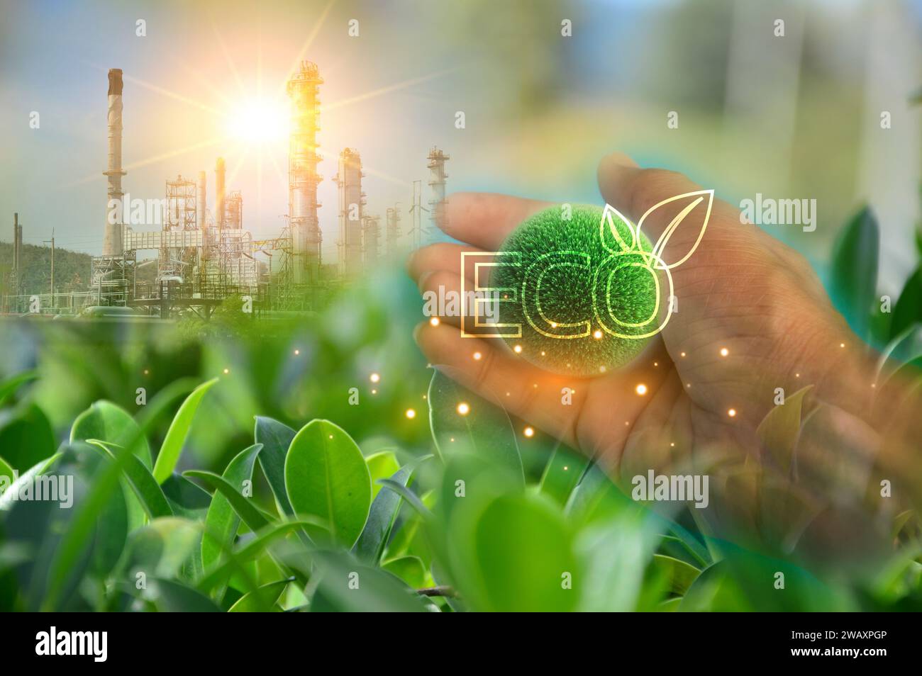 Sustainable development and business operations based on renewable ...