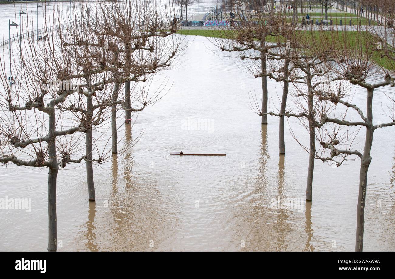 Frankfurt, Germany. 7th Jan, 2024. A bench along the Main River is submerged in flood water in Frankfurt, Germany, Jan. 7, 2024. Some areas in Frankfurt were flooded due to continuous rainfall and rising water level of the Main River. Credit: Zhang Fan/Xinhua/Alamy Live News Stock Photo