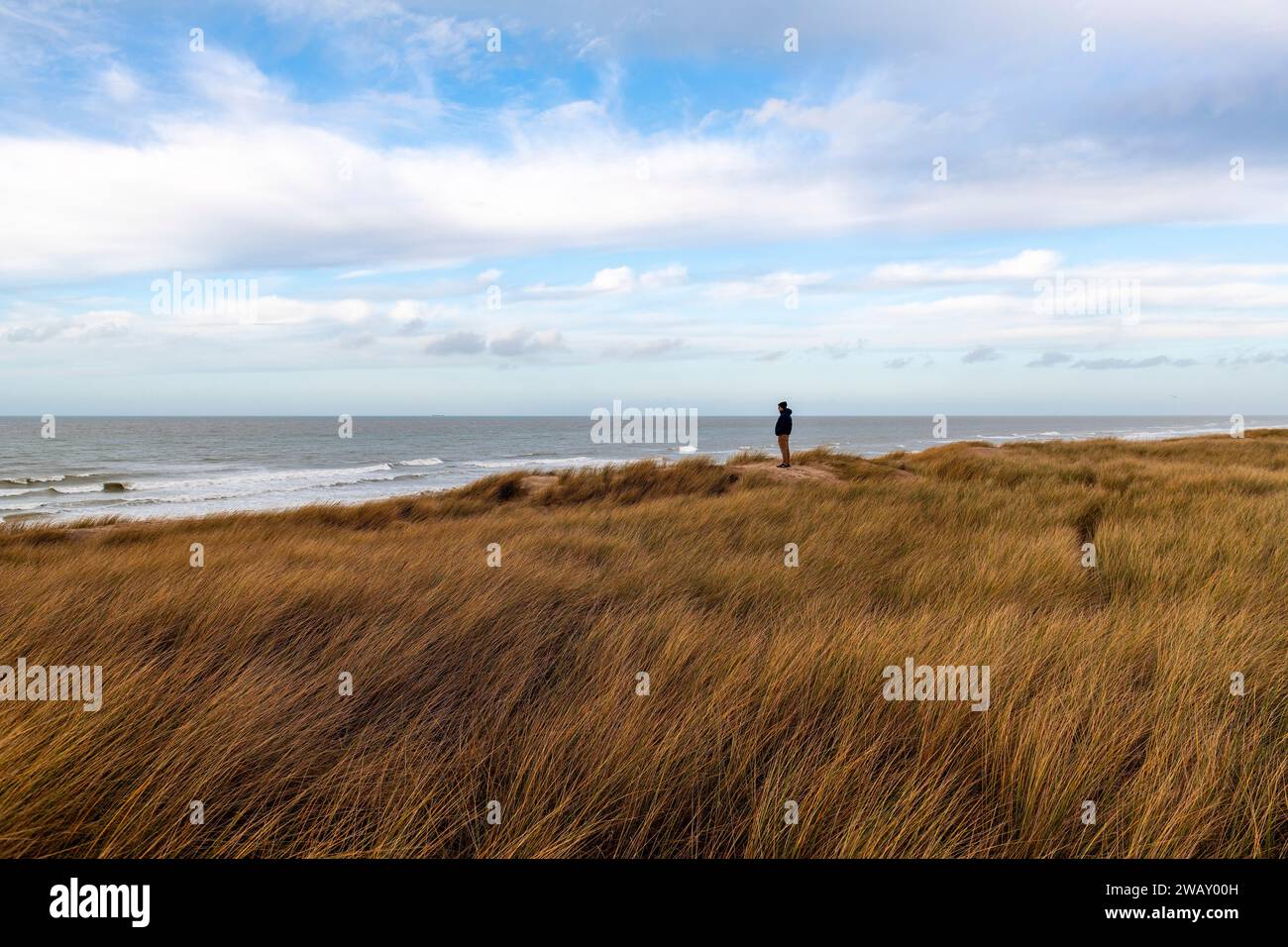 Young man looking at the North Sea waves from the sand dunes along the Belgian coast, Bredene, Belgium. Stock Photo