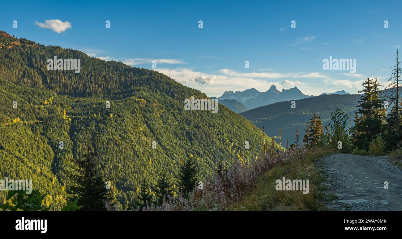 High mountain in morning time. Beautiful natural landscape. British Columbia Canada. Thick Forest in BC. Green Vegetation. Stock Photo