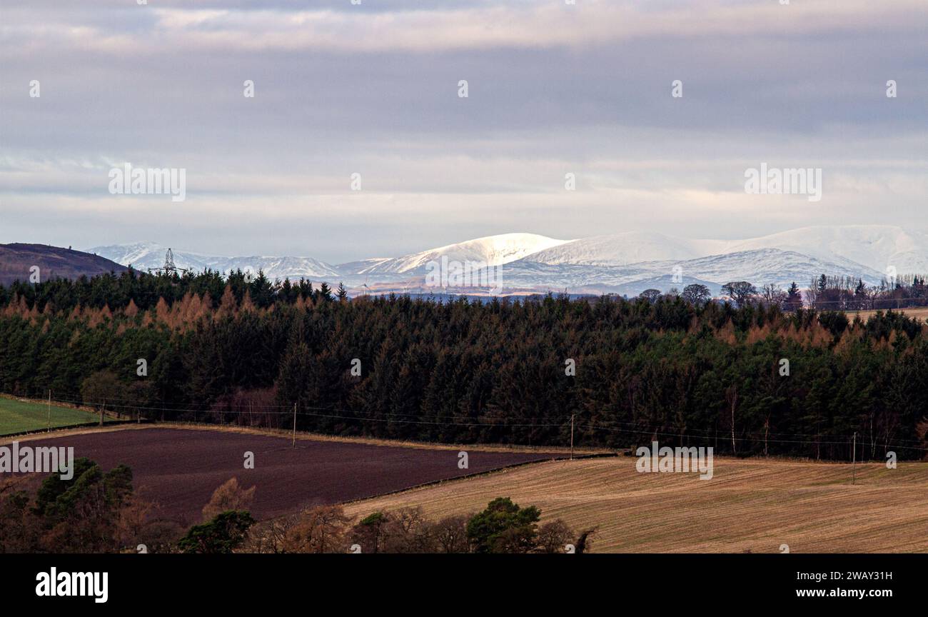 Dundee, Tayside, Scotland, UK. 7th Jan, 2024. UK Weather The Angus
