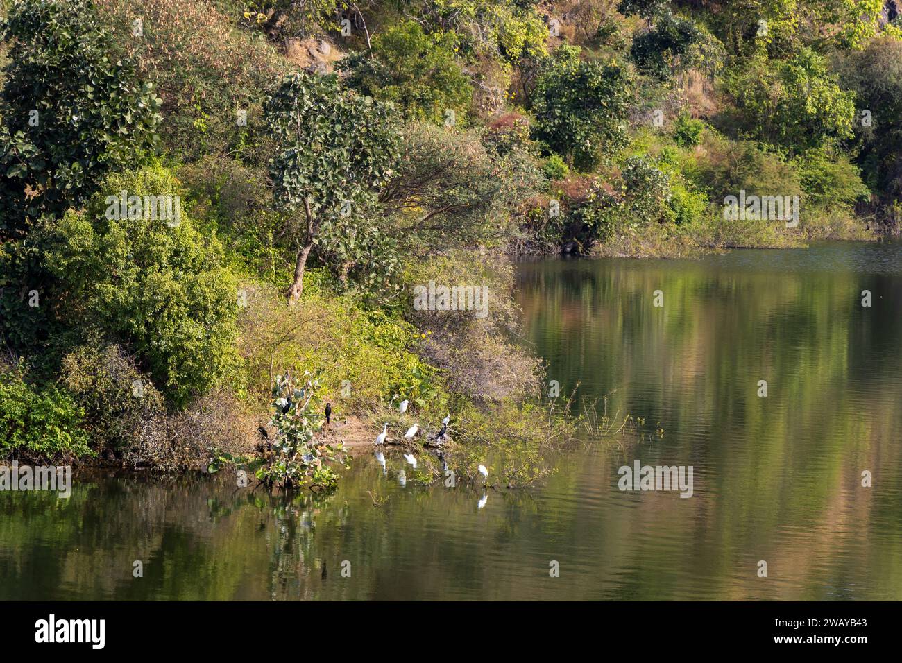 Pristine edge hi-res stock photography and images - Alamy