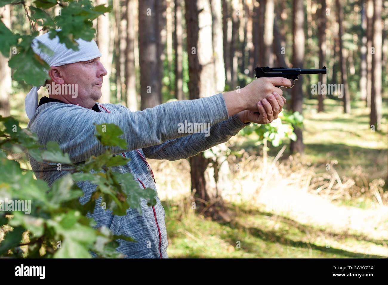 A man in the forest among the green leaves of an oak tree shooting with legendary German-made pistol of the Second World War. Stock Photo