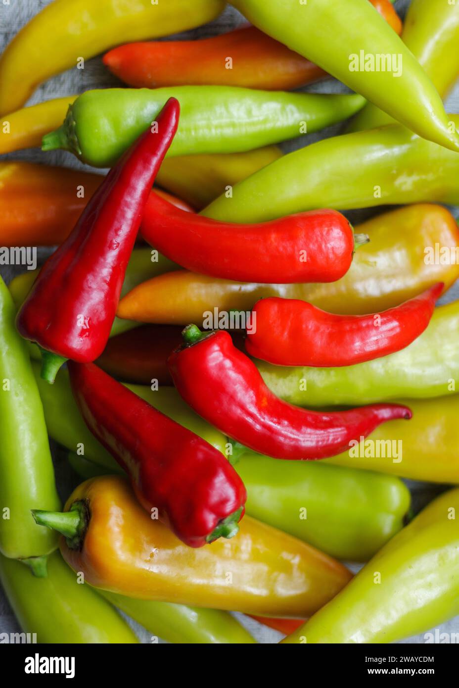 Red, yellow and green Bell Peppers. Vertical photo. Stock Photo