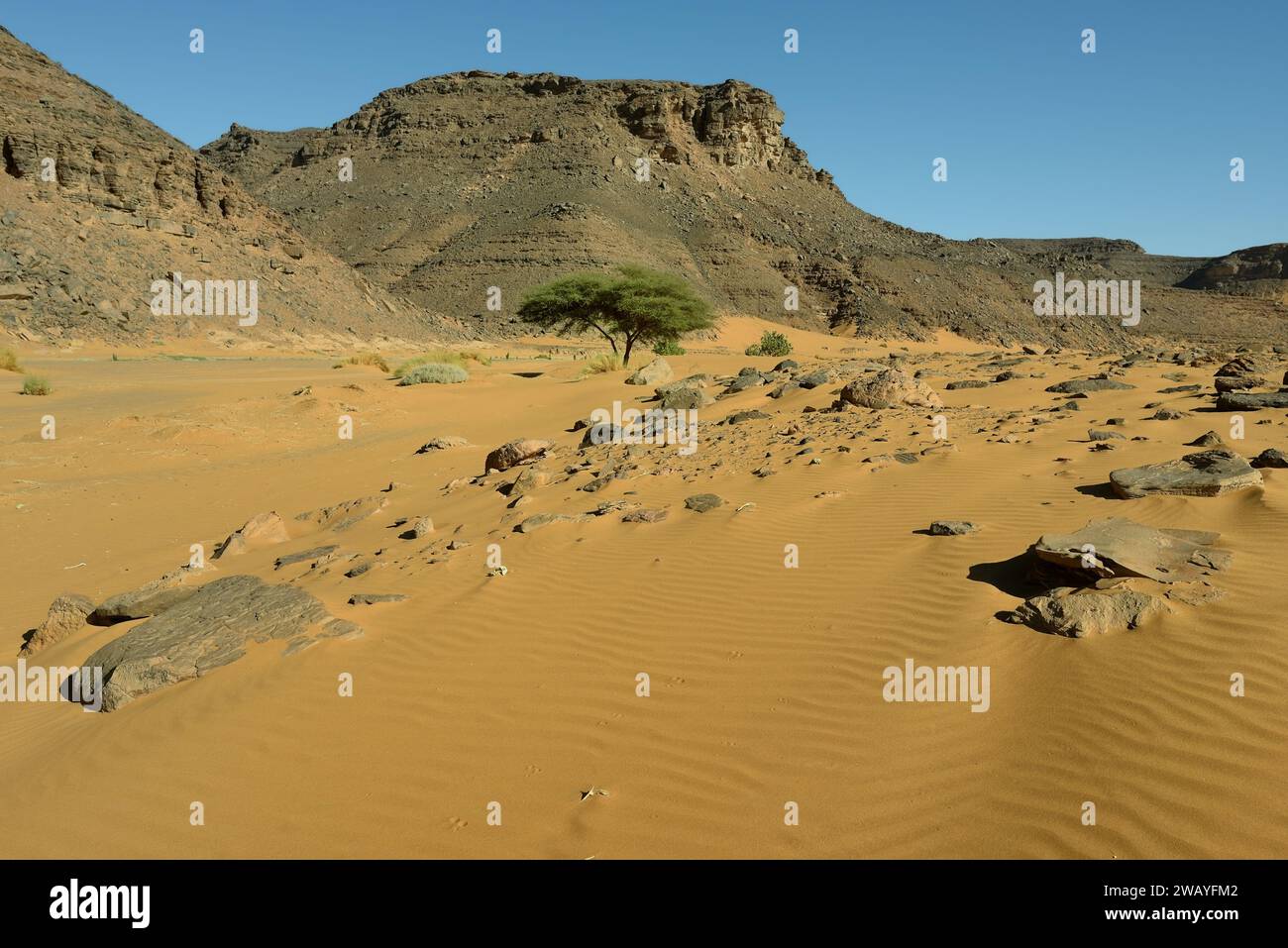 SAND DUNES IN THE SAHARA DESERT IN ALGERIA AROUND DJANET OASIS AND ...