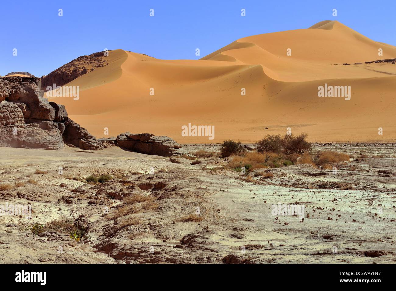 SAND DUNES IN THE SAHARA DESERT IN ALGERIA AROUND DJANET OASIS AND ...