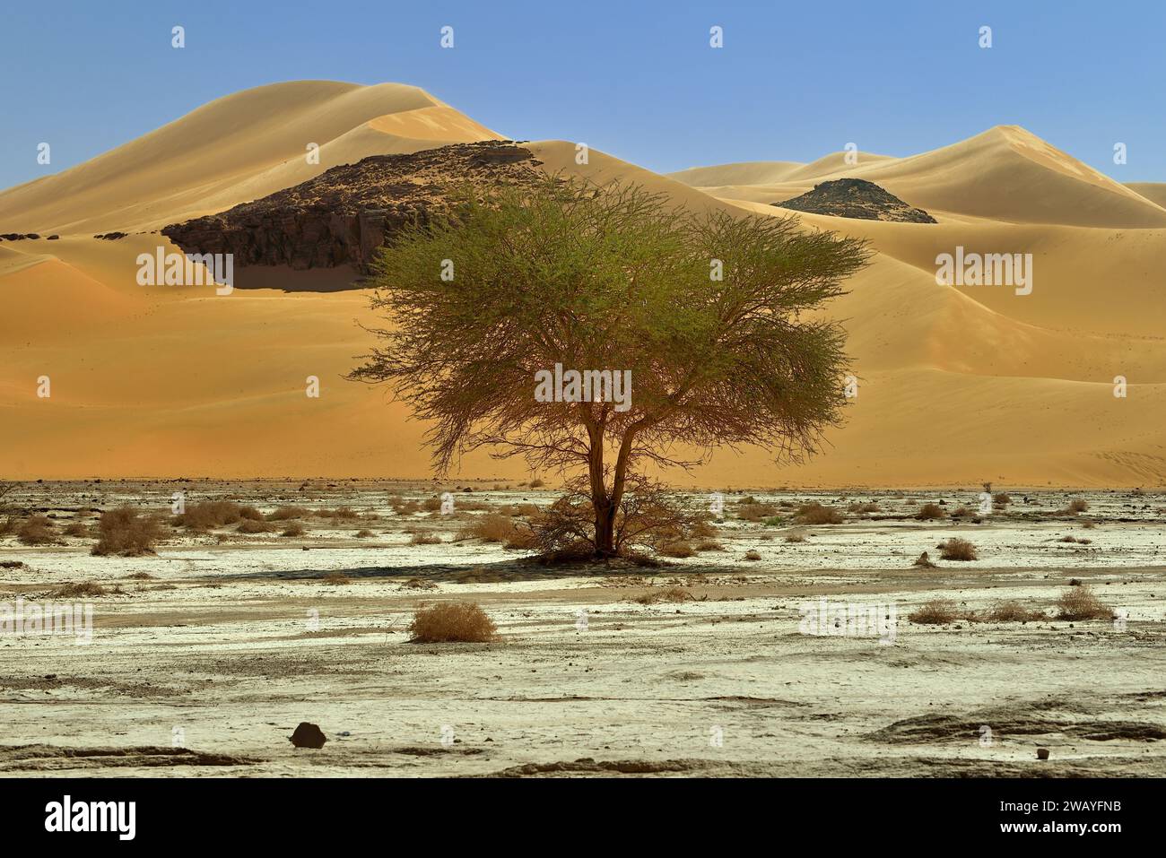 SAND DUNES IN THE SAHARA DESERT IN ALGERIA AROUND DJANET OASIS AND ...