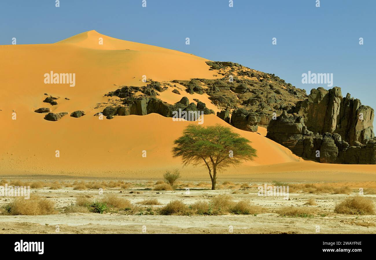 SAND DUNES IN THE SAHARA DESERT IN ALGERIA AROUND DJANET OASIS AND ...