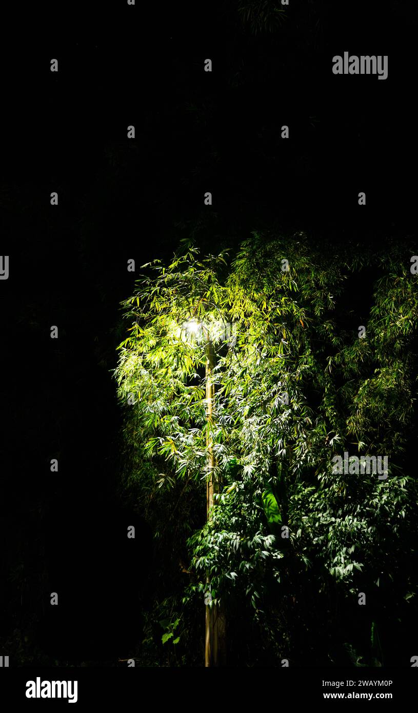 Lonely night street scene hi-res stock photography and images - Alamy