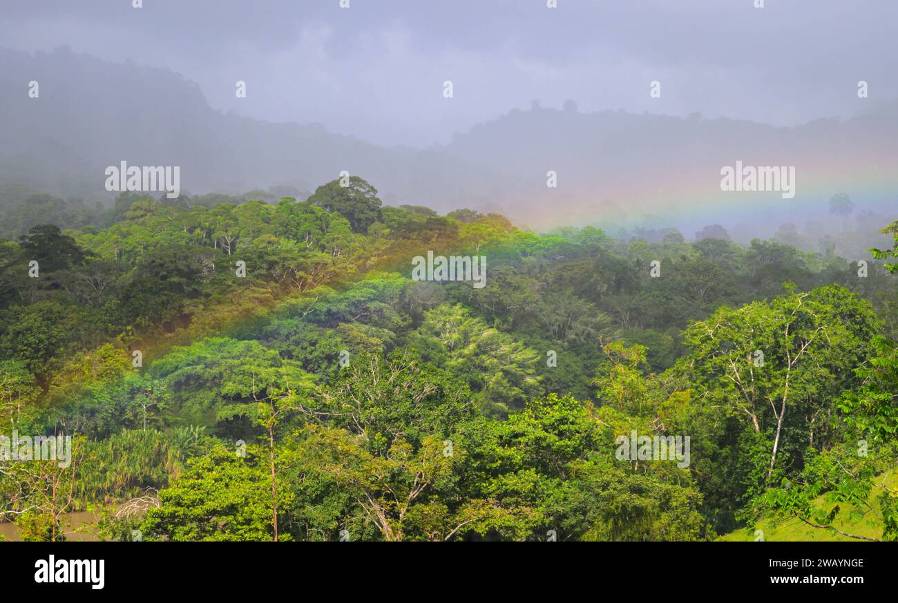 Rainbow over rainforest after rain, Boca Tapada, Alajuela, Costa Rica. Stock Photo